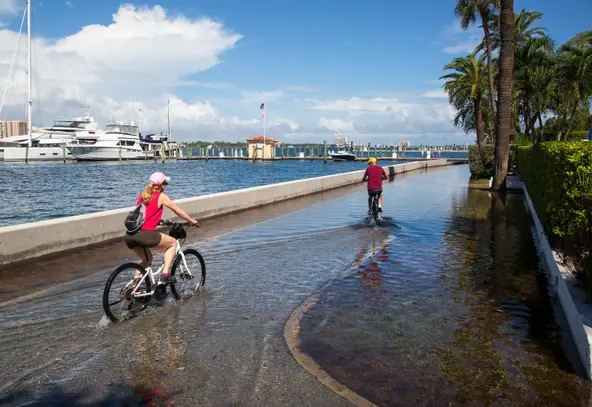 Palm Beach wants more than half a million dollars from state for climate change mitigation