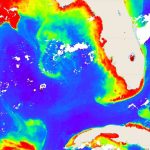 Metocean Mapper Satellite Imagery with Eddywatch