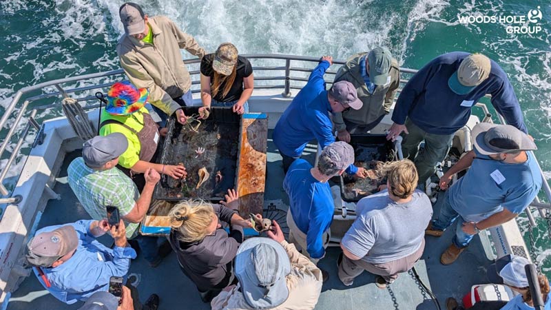Hands-On Learning in the Field: A Successful LSPA Course Led by Woods Hole Group