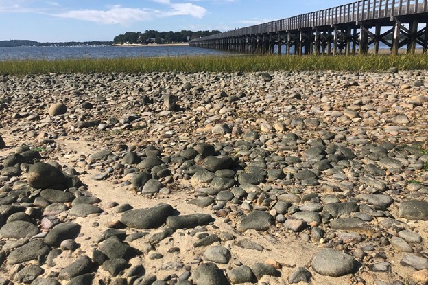 Living Shoreline Bridge Cape Cod