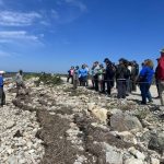 Living shorelines planning training