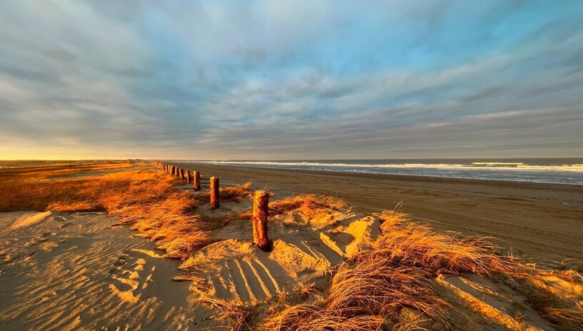 Living Shoreline New England Coast at Sunset