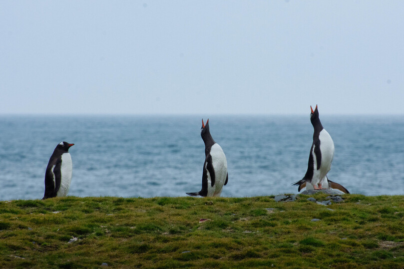 Woods Hole Group Helps ONC Transmit BIG Ideas in Antarctica