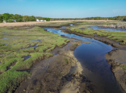 Sesuit Creek Salt Marsh restoration project